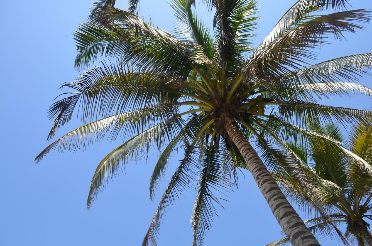 Playa Los Angeles 洛斯纳兰霍斯 外观 照片